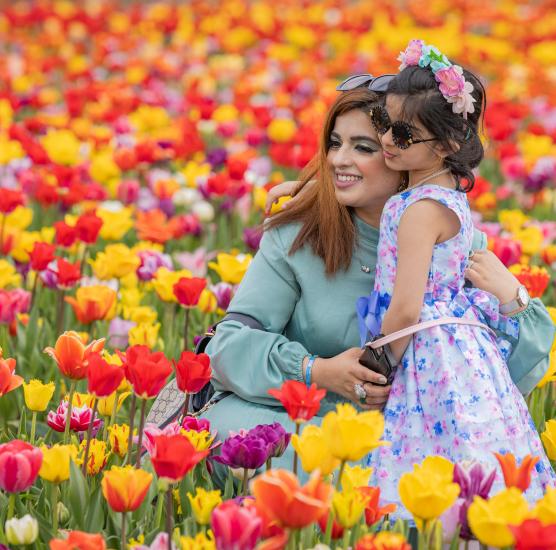 TASC Tulip Pick Farm